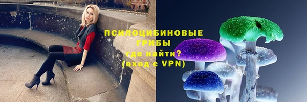 ГАЛЛЮЦИНОГЕННЫЕ ГРИБЫ Абдулино