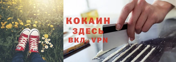 ГАЛЛЮЦИНОГЕННЫЕ ГРИБЫ Абдулино