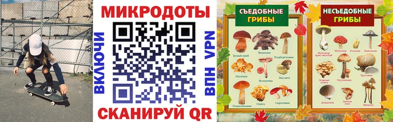 где продают наркотики  Канск  Галлюциногенные грибы Psilocybine cubensis 