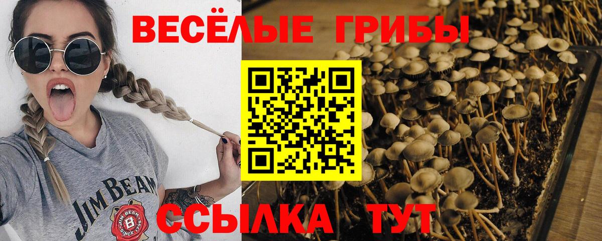 Канск  Галлюциногенные грибы мухоморы  Вход с VPN  Галлюциногенные грибы Cubensis 
